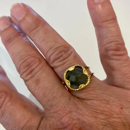 Grande Maison Au Cadre Verdoyant Au Centre Village カルジェーズ