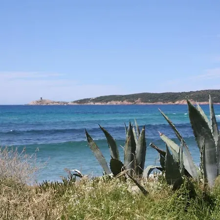 Grande Maison Au Cadre Verdoyant Au Centre Village * Cargèse