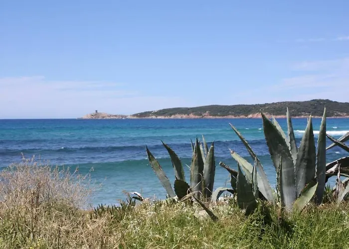 Grande Maison Au Cadre Verdoyant Au Centre Village * Cargèse
