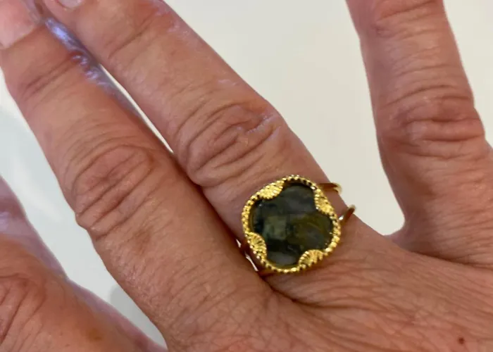 Grande Maison Au Cadre Verdoyant Au Centre Village Cargèse